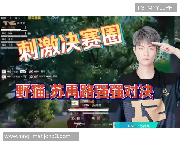 和平精英状态排行榜最新公布RNG战队荣获第四名引发热议